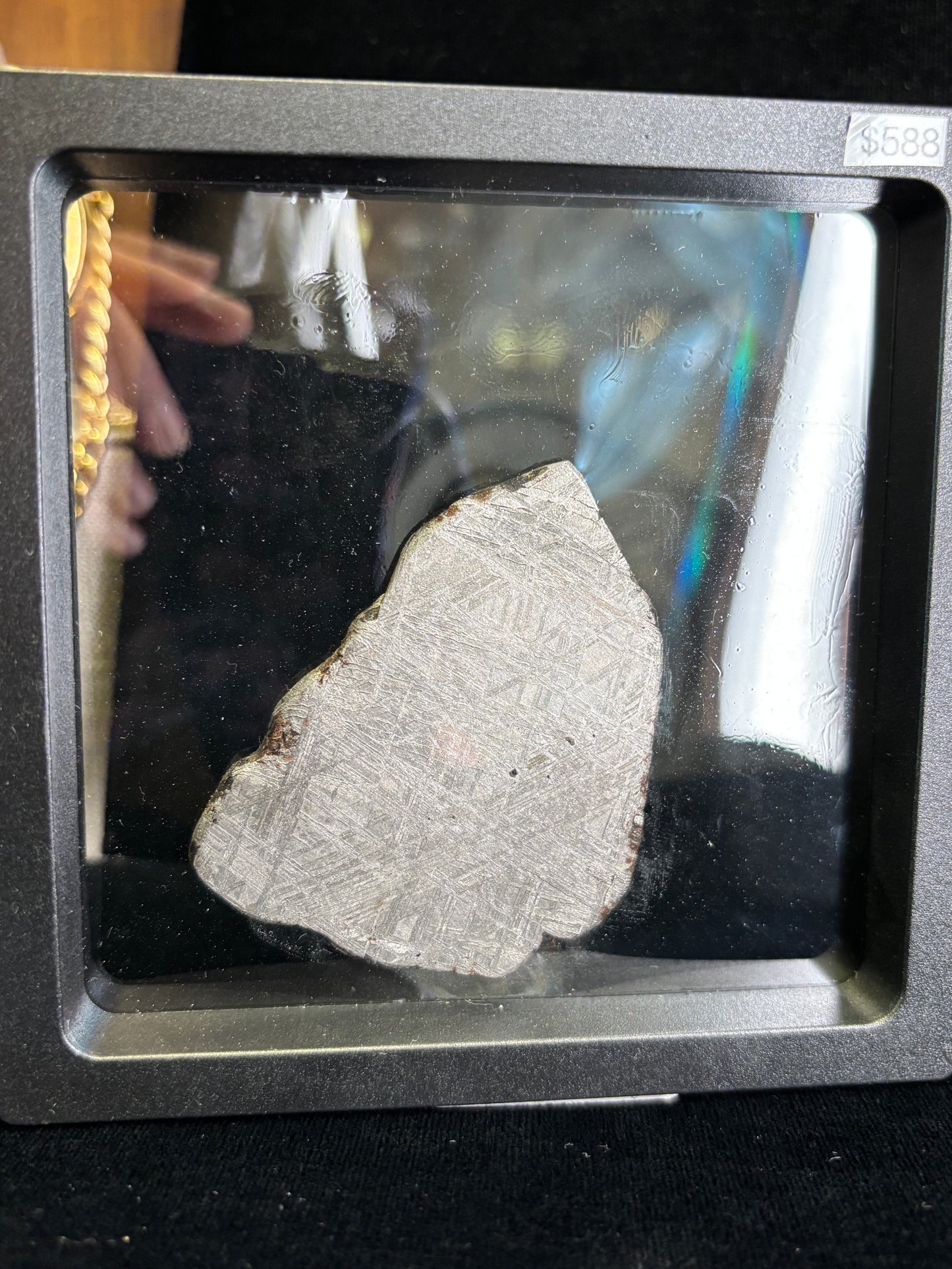 Muonionalusta Meteorite Slice w/Troilite