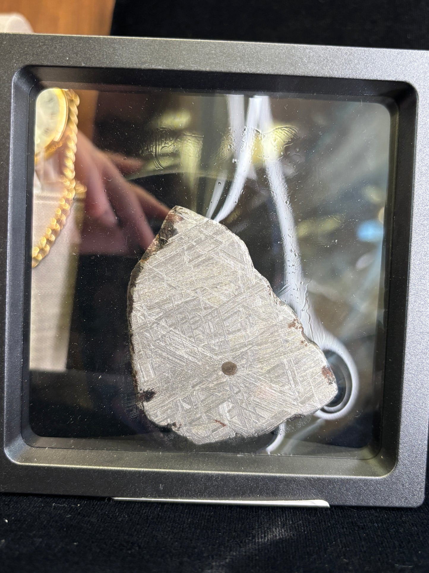 Muonionalusta Meteorite Slice w/Troilite