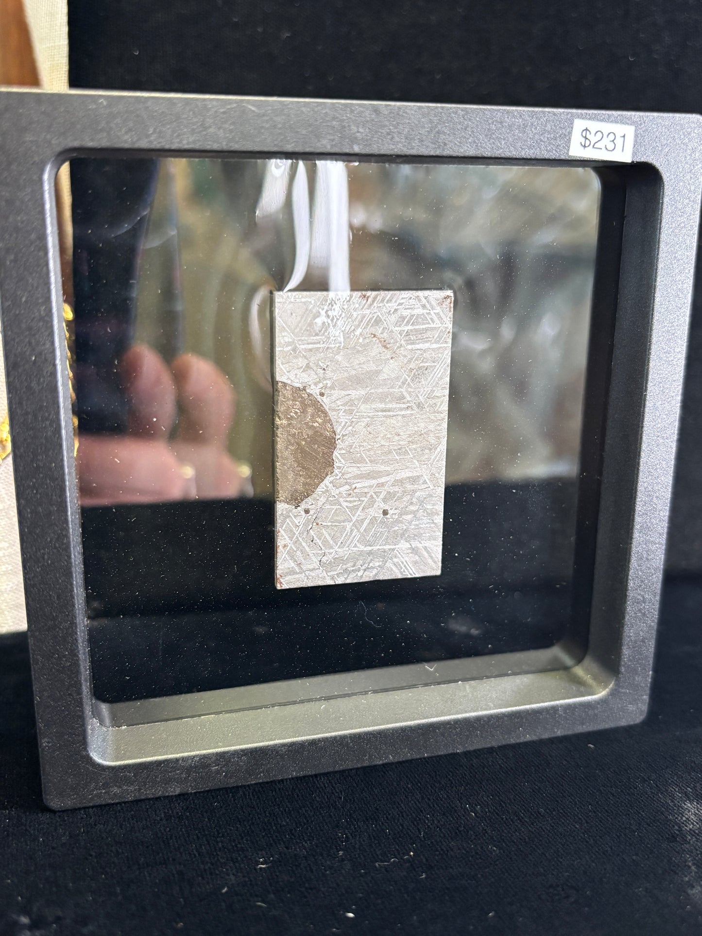 Muonionalusta Meteorite Slice w/Troilite