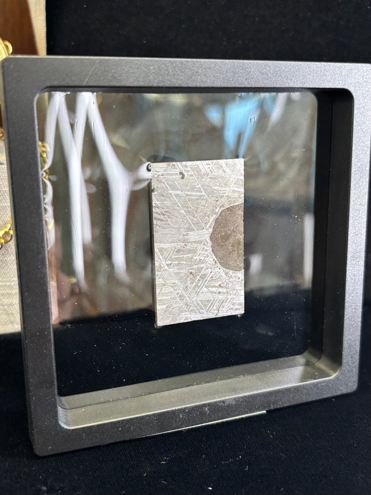 Muonionalusta Meteorite Slice w/Troilite