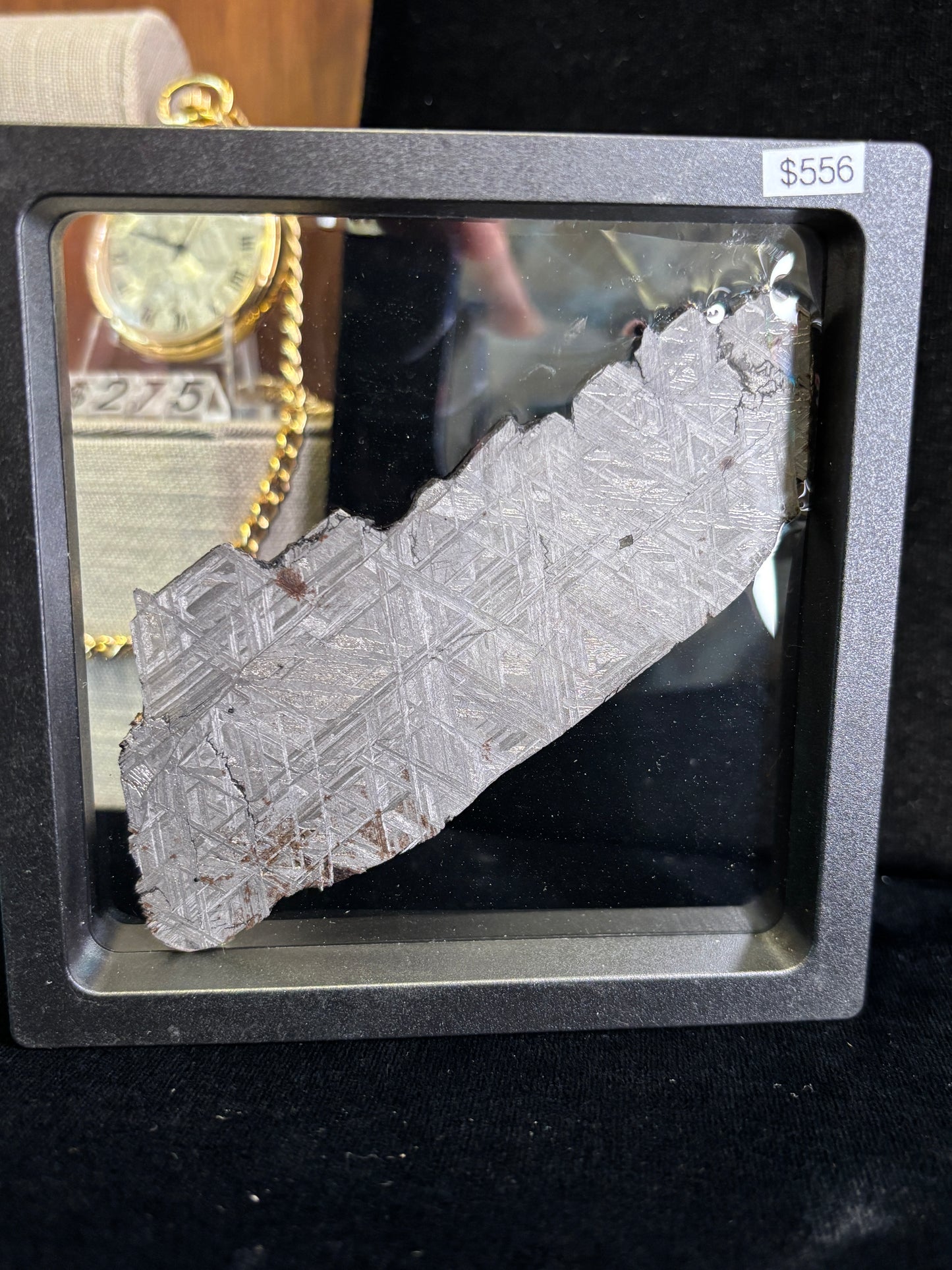 Muonionalusta Meteorite Slice