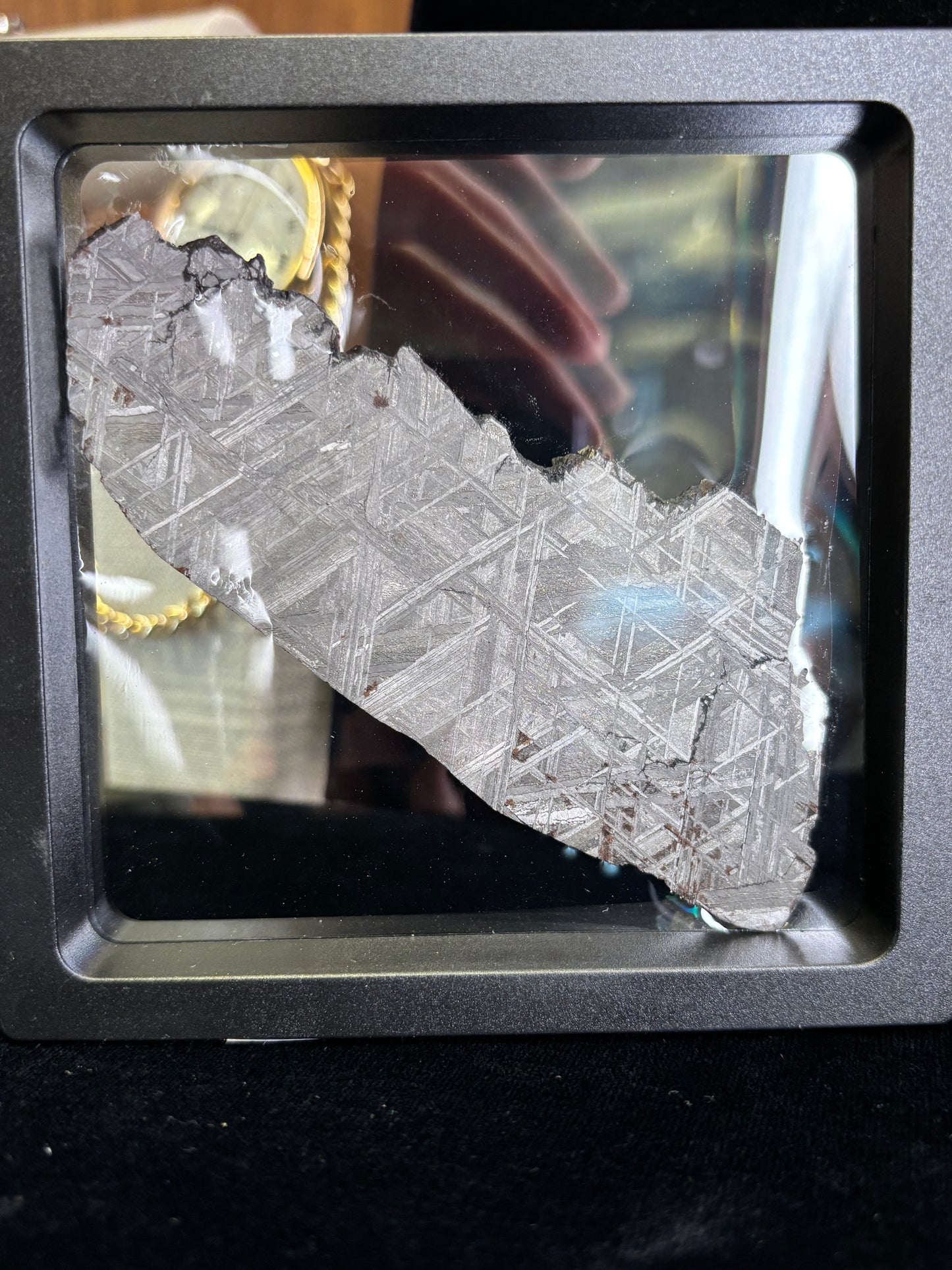Muonionalusta Meteorite Slice