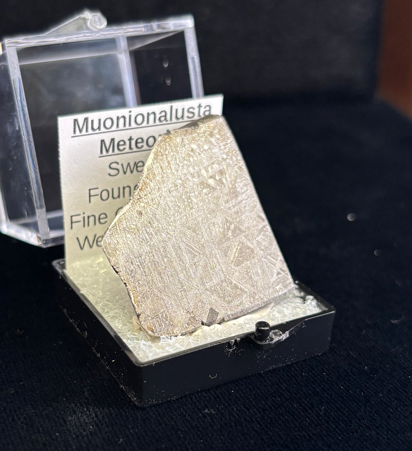 Muonionalusta Meteorite Specimen