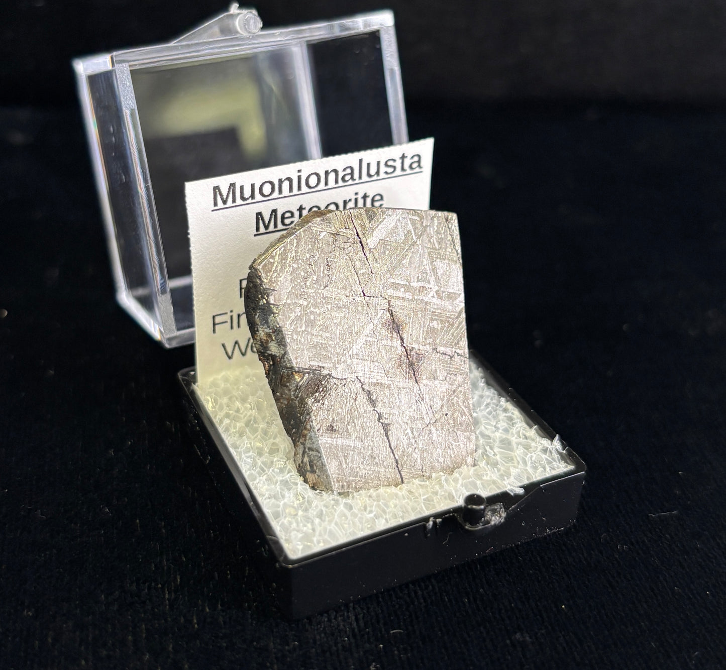 Muonionalusta Meteorite Specimen