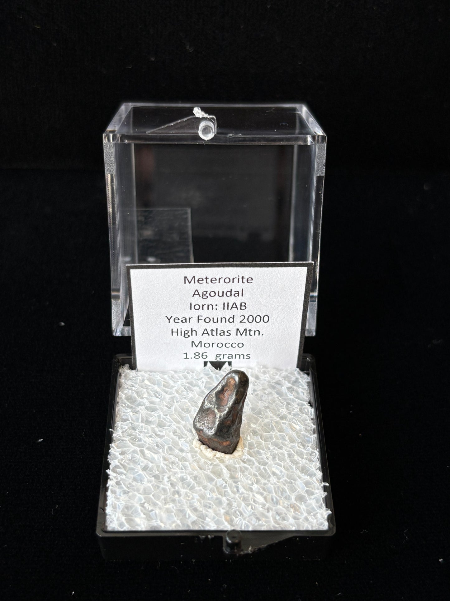 Agoudal Meteorite Specimen