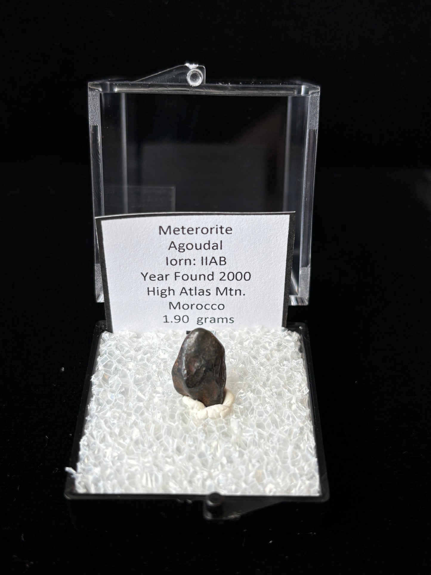 Agoudal Meteorite Specimen