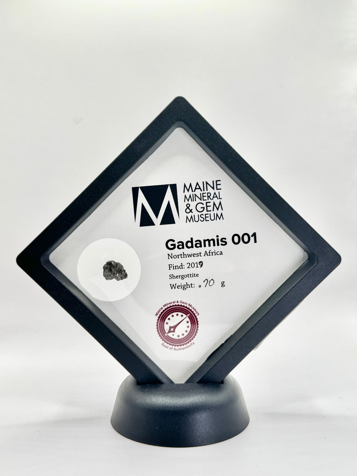 Martian Meteorite-Gadamis 001