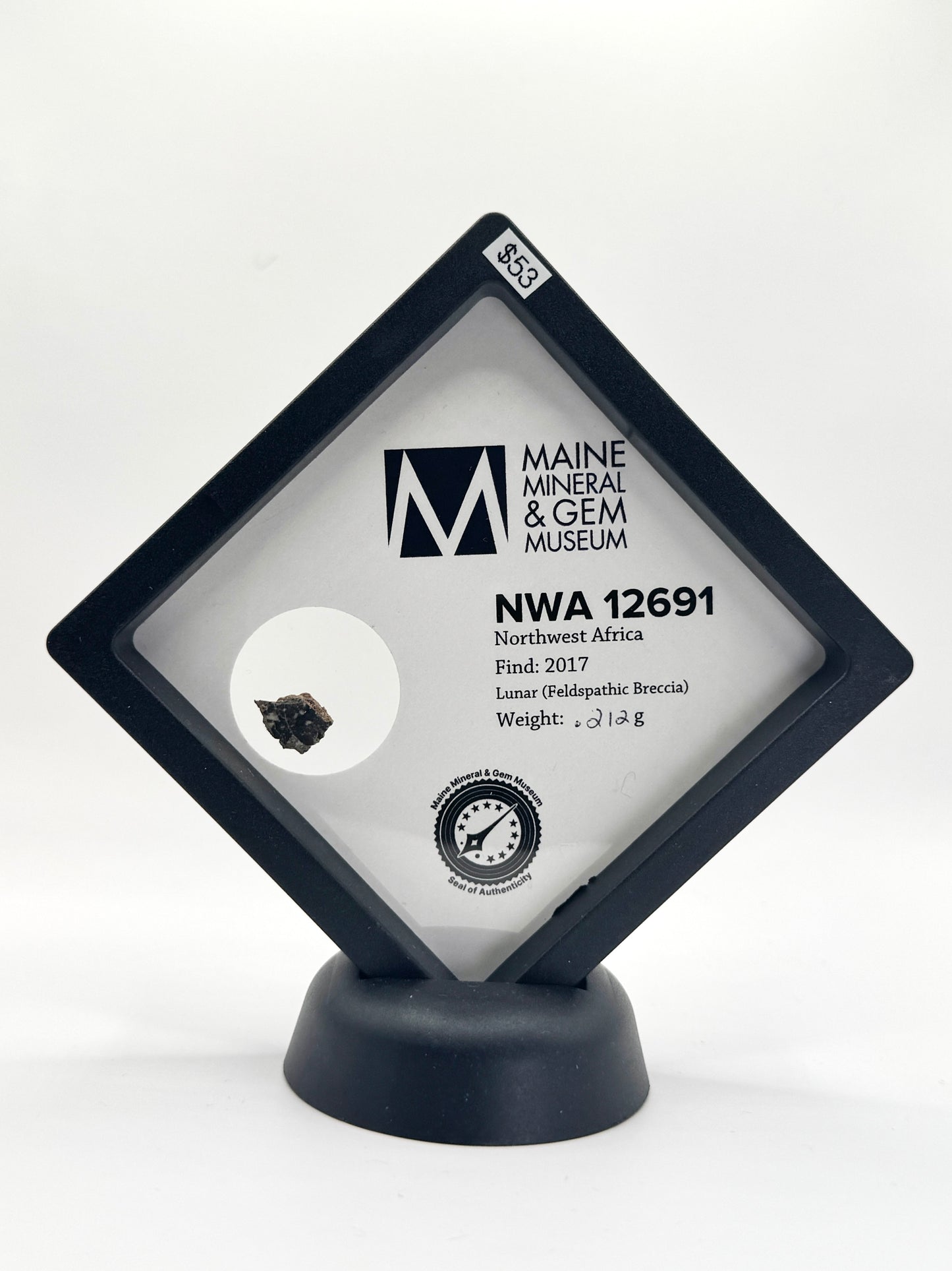 Lunar Meteorite- NWA 12691