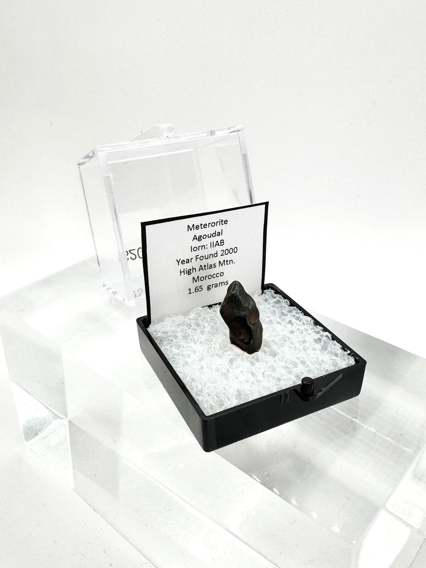 Agoudal Meteorite Specimen