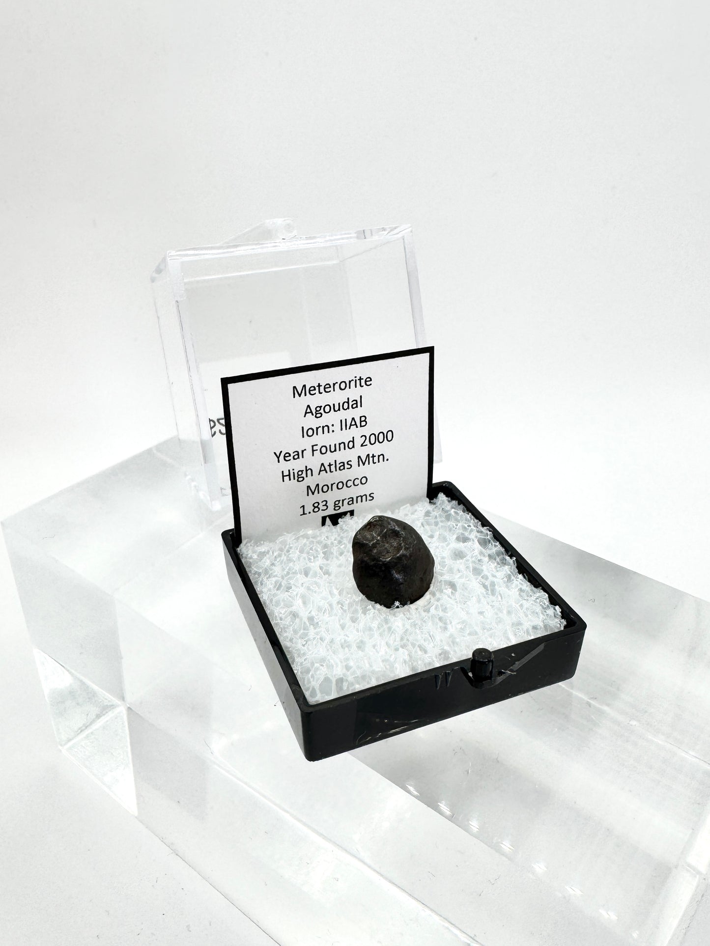 Agoudal Meteorite Specimen