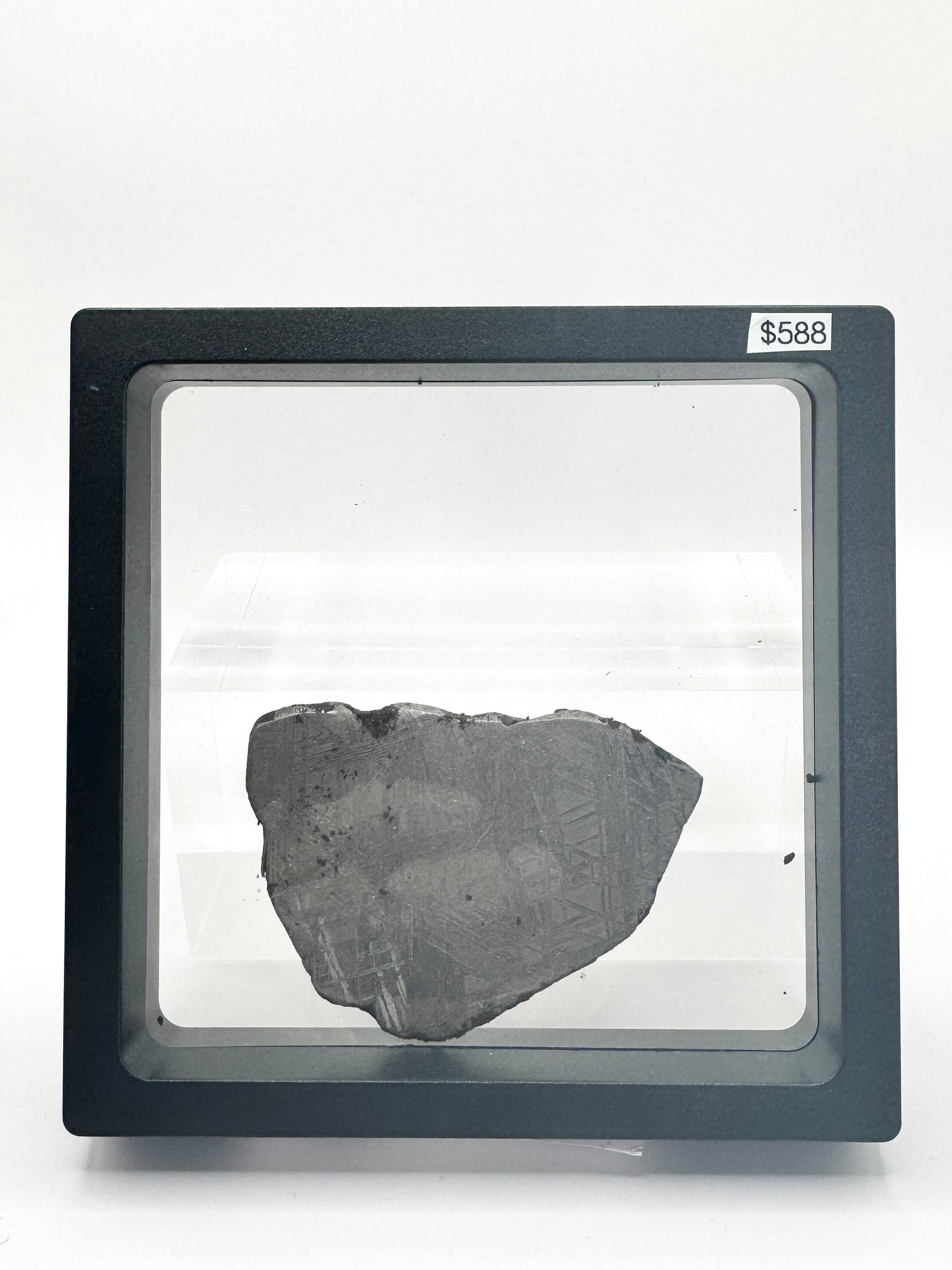 Muonionalusta Meteorite Slice w/Troilite