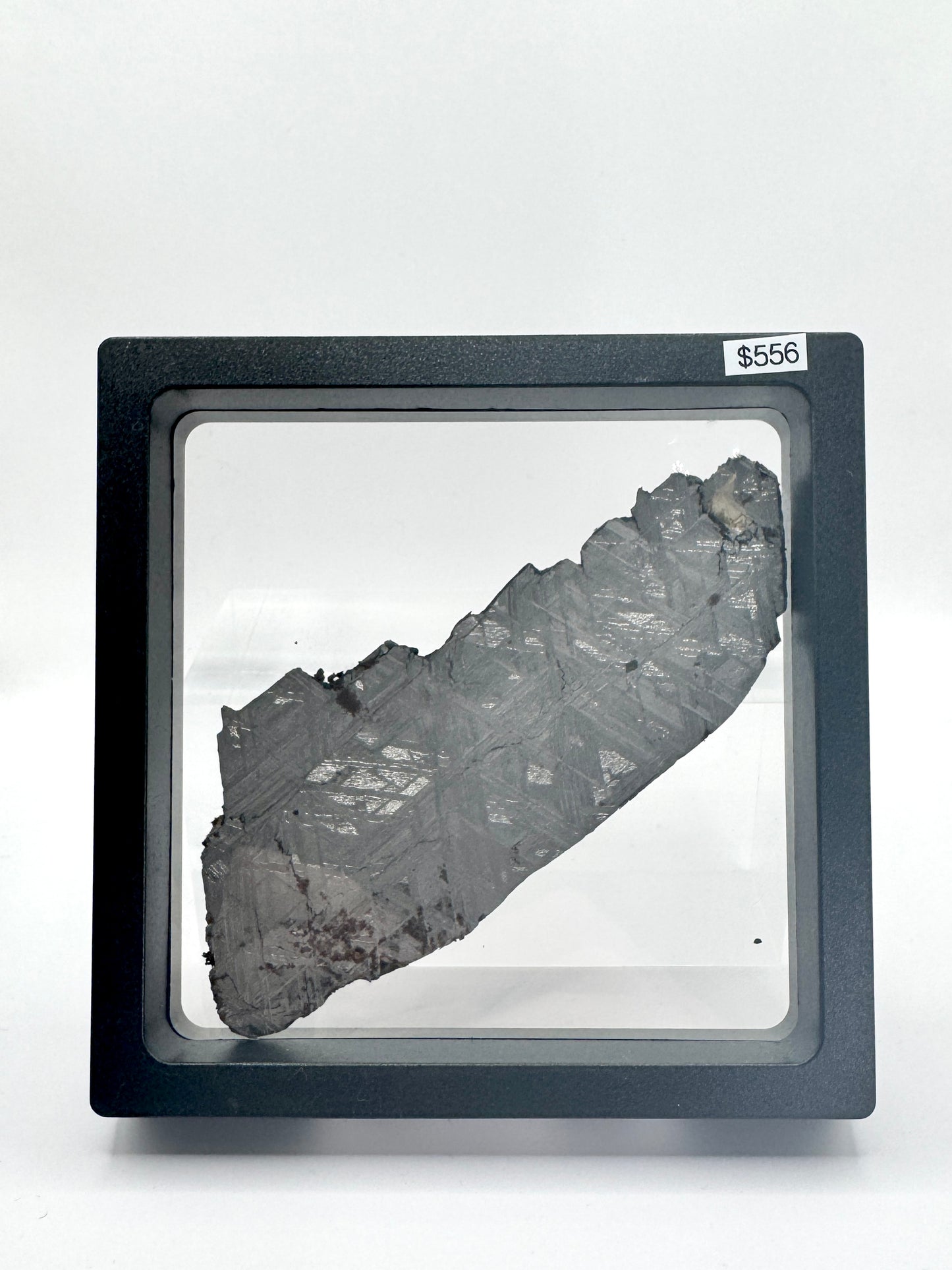 Muonionalusta Meteorite Slice