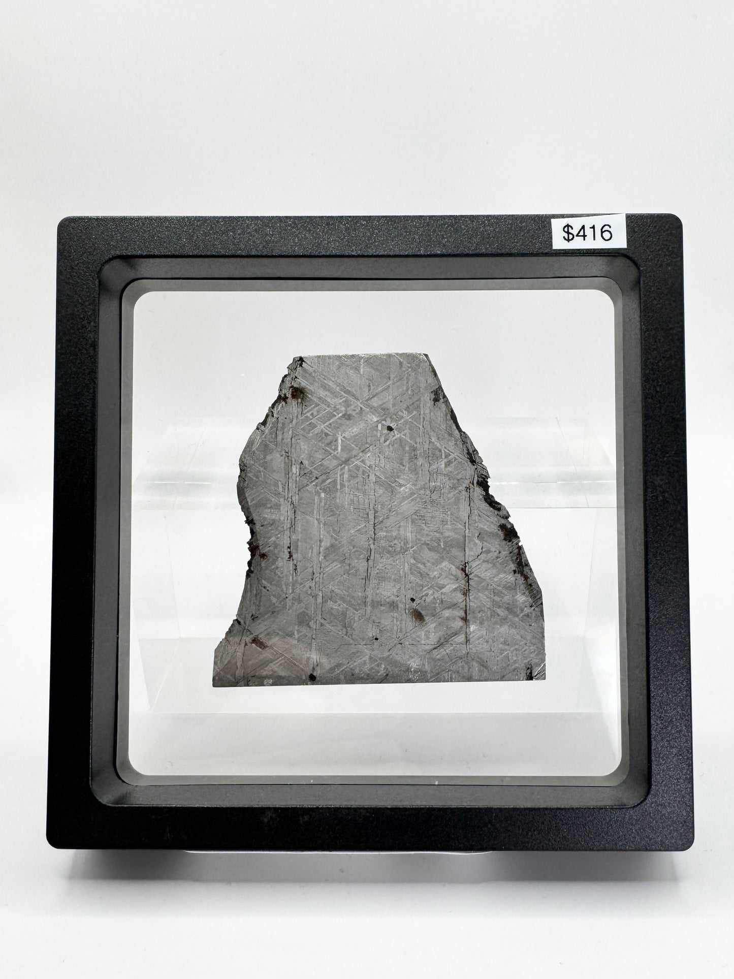 Muonionalusta Meteorite Slice w/Troilite