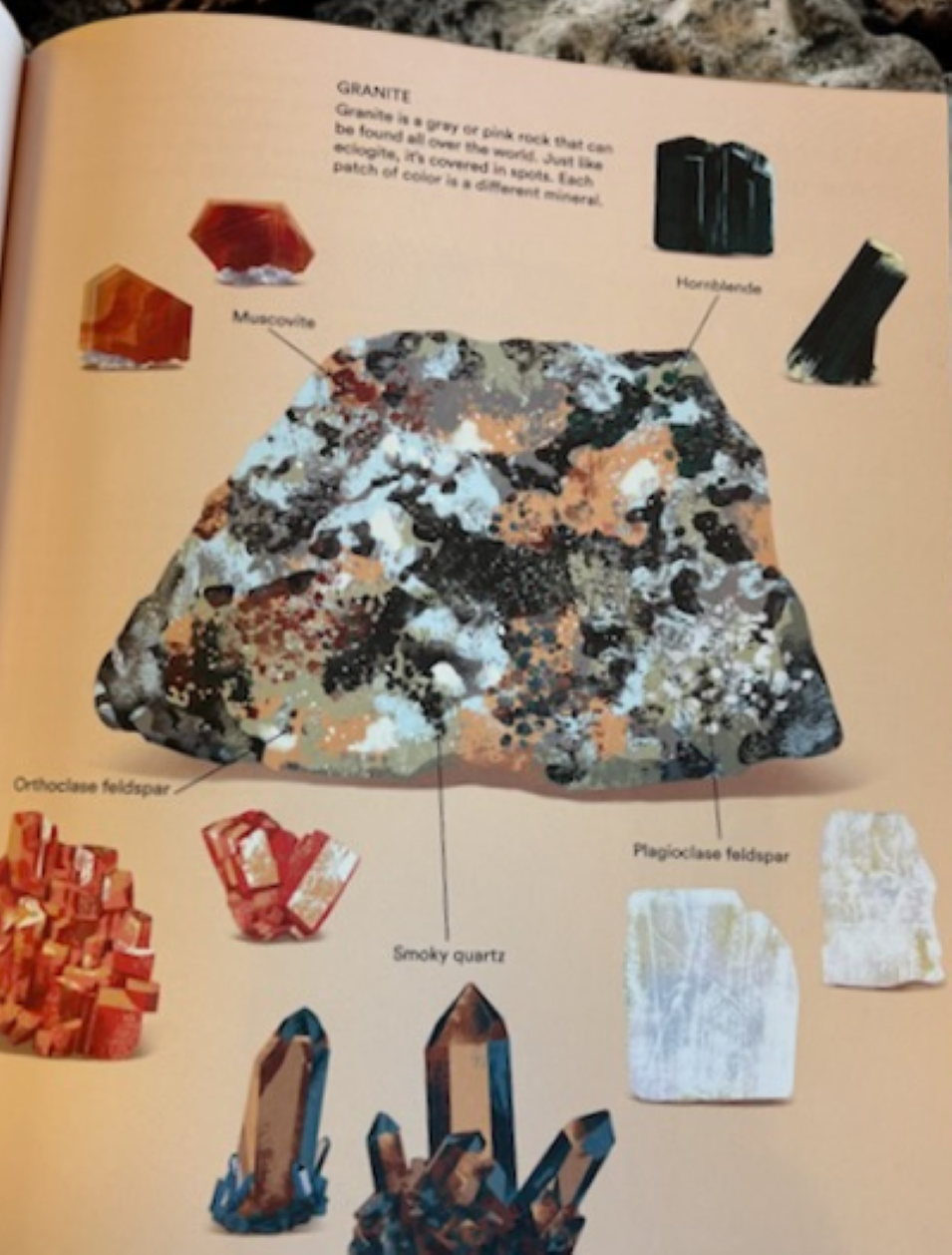 What a Rock Can Reveal