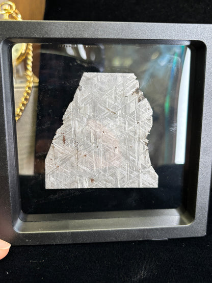 Muonionalusta Meteorite Slice w/Troilite