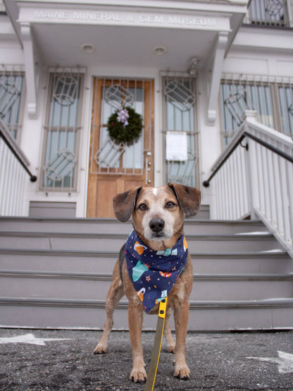 Dog Bandana
