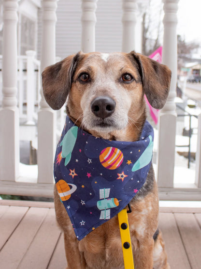 Dog Bandana