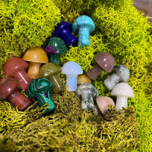 Assorted Mini Mushrooms