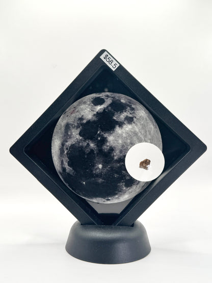 Lunar Meteorite- NWA 12691