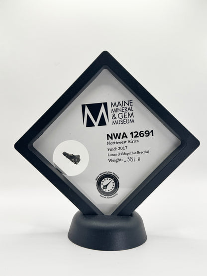 Lunar Meteorite- NWA 12691