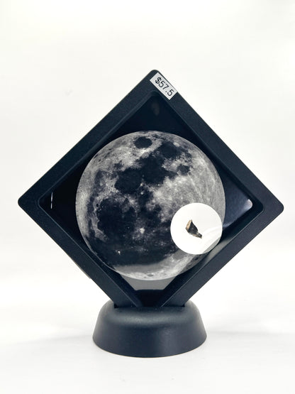 Lunar Meteorite- NWA 12691