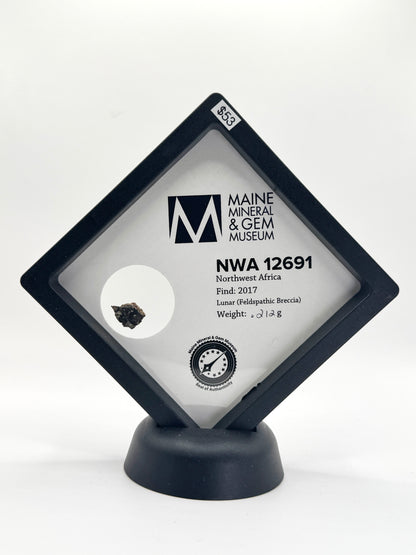 Lunar Meteorite- NWA 12691
