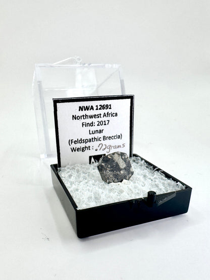 Agoudal Meteorite Specimen