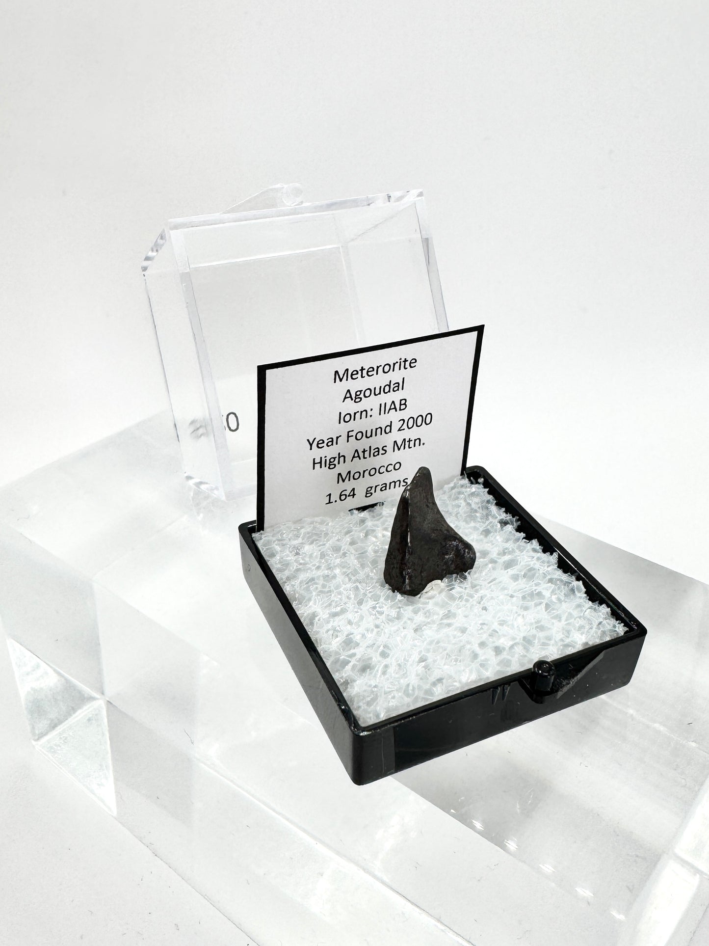 Agoudal Meteorite Specimen