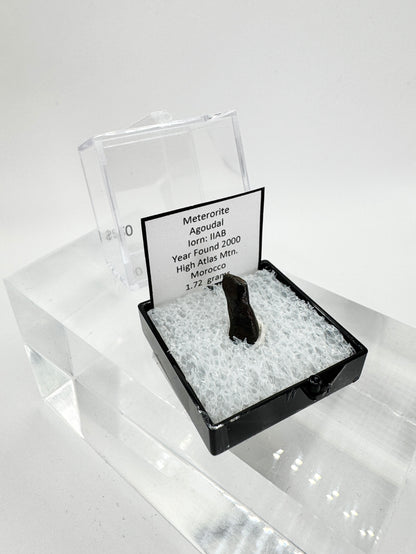 Agoudal Meteorite Specimen