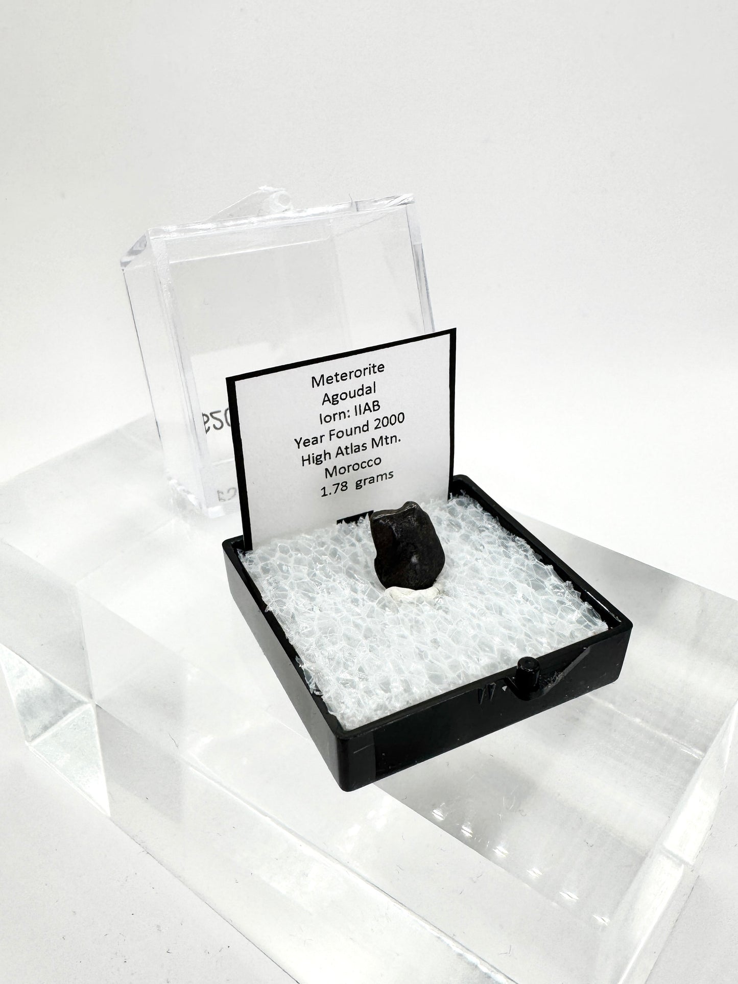 Agoudal Meteorite Specimen