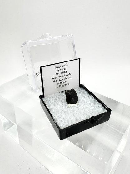 Agoudal Meteorite Specimen