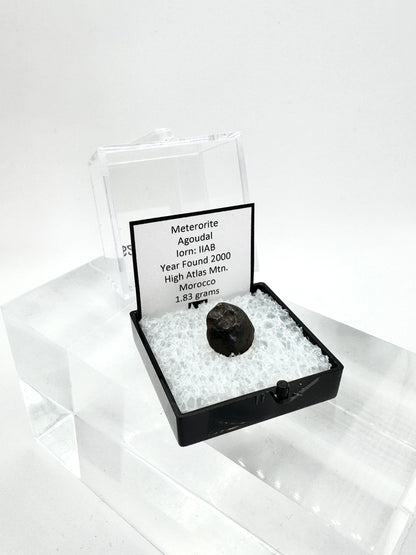 Agoudal Meteorite Specimen