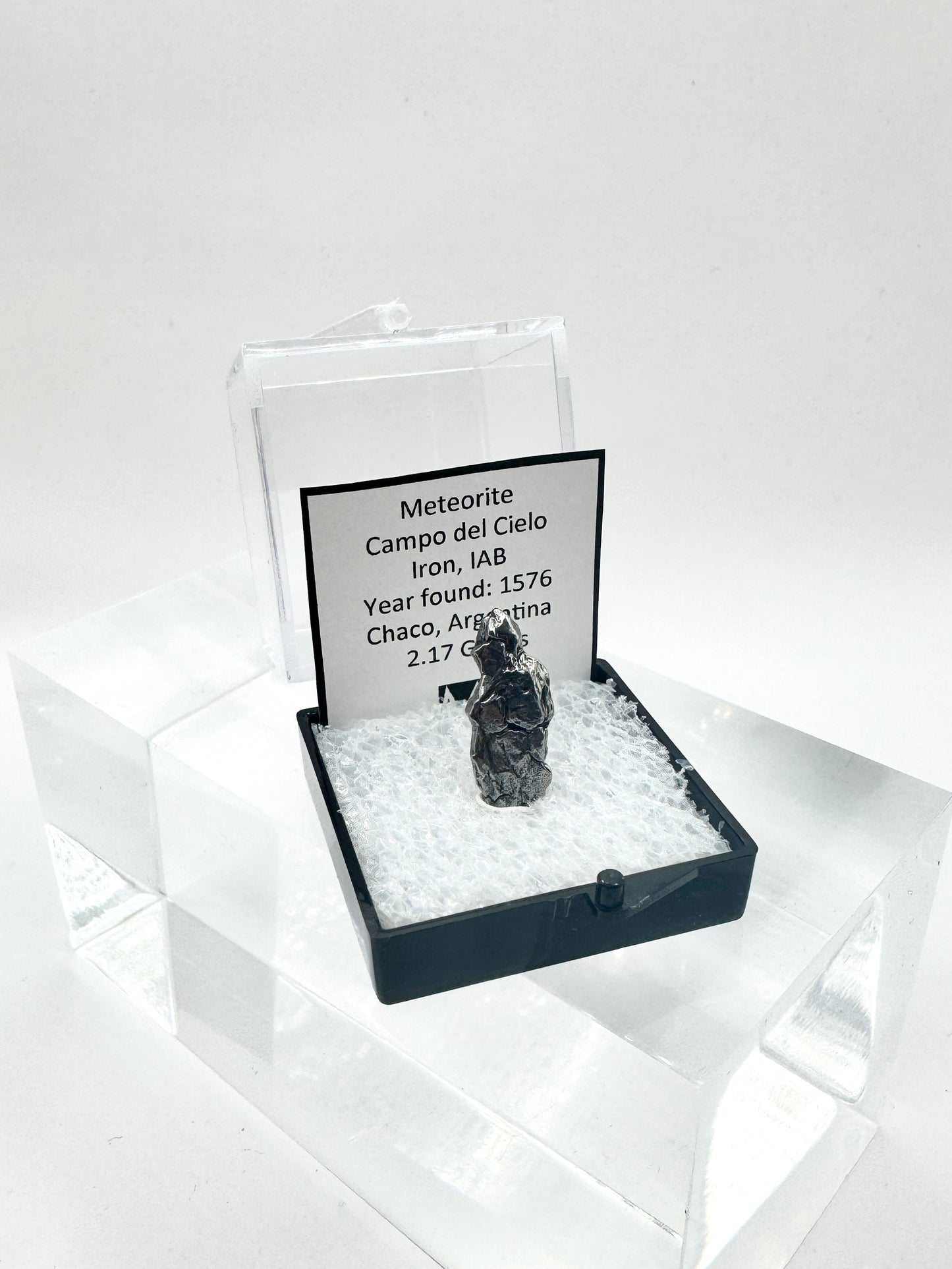 Campo del Cielo Meteorite Specimen