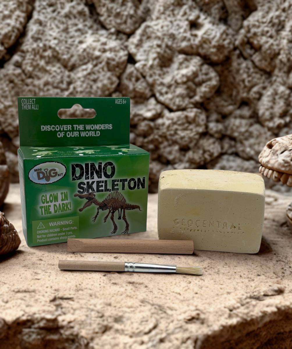 Glow Dinosaur Dig Kits