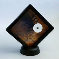 Martian Meteorite-Gadamis 001