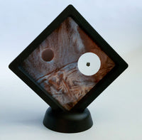 Martian Meteorite- Gadamis 001
